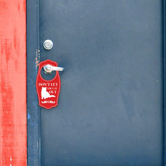 Don't Let The Cat Out Door Hanger | House or Business Door Sign