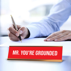 Signs ByLITA Mr. You're Grounded Gold Frame, Desk Sign (2x8")