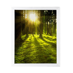 Enchanted Forest, Framed Print Sign Easy Installation | Beautiful Sunsets | Stylish Modern Decoration For The Home and Office