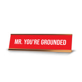 Signs ByLITA Mr. You're Grounded Gold Frame, Desk Sign (2x8")