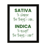 Sativa to Change the things I can, Indica to Accept the things I can't, Watercolor Framed Novelty Wall Art