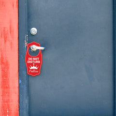 Do Not Disturb The Princess Door Hanger | House or Business Door Sign