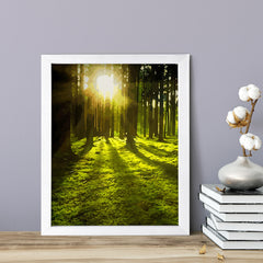 Enchanted Forest, Framed Print Sign Easy Installation | Beautiful Sunsets | Stylish Modern Decoration For The Home and Office