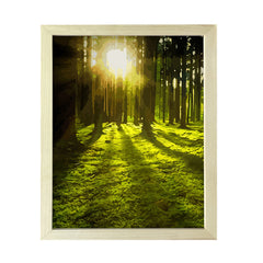 Enchanted Forest, Framed Print Sign Easy Installation | Beautiful Sunsets | Stylish Modern Decoration For The Home and Office