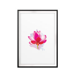 Pink Lotus Flower UNFRAMED Print Water Color Wall Art