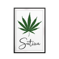 Sativa UNFRAMED Print Stoner Wall Art
