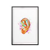 Hear In Color UNFRAMED Print Anatomy Wall Art
