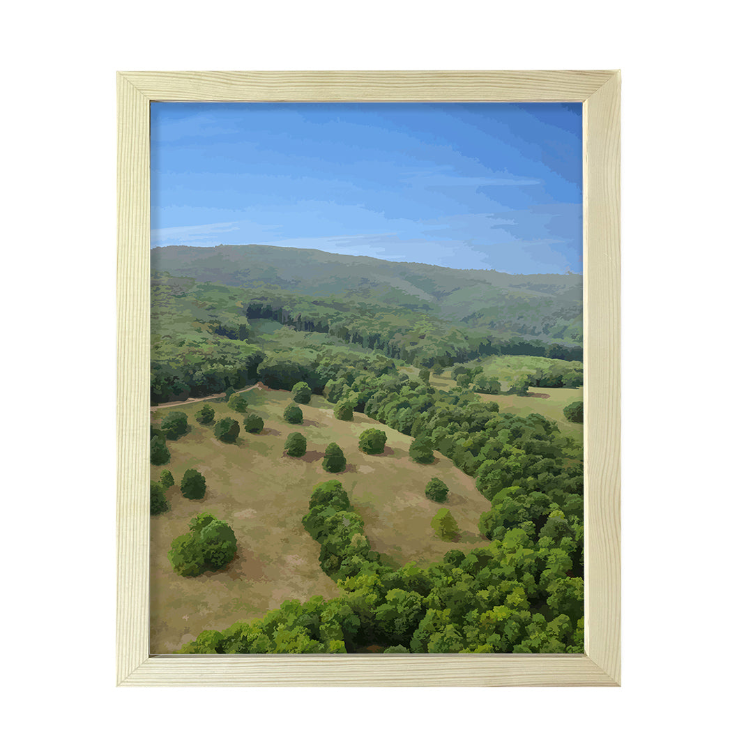 Aerial Forest Valley Scene, Framed Print Sign Easy Installation | Beautiful Trees | Stylish Modern Decoration For The Home and Office