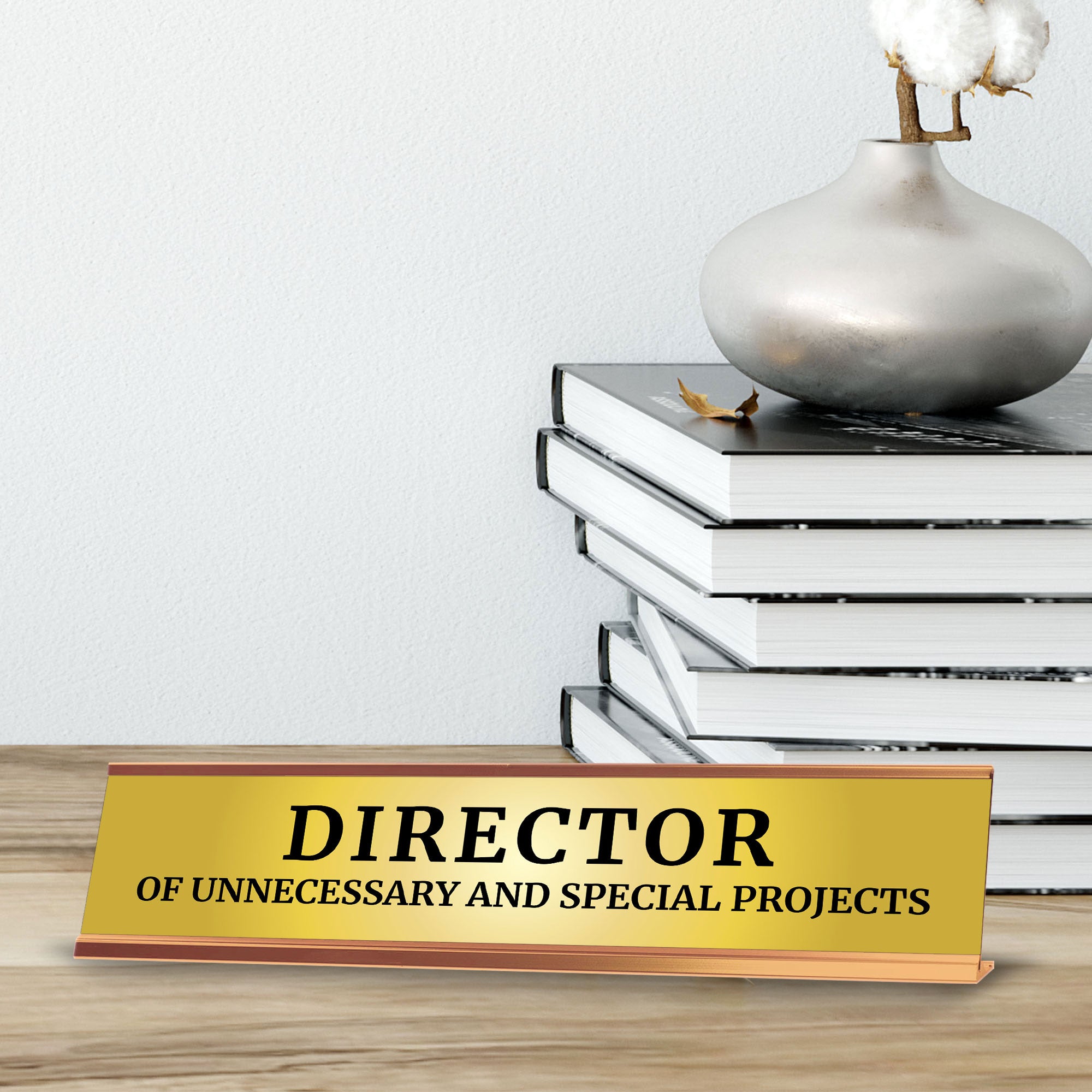 Director Of Unnecessary And Special Projects 2 x 10" Desk Sign | Funny Office & Home Decor