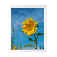 Designs ByLITA Midday Sunflower, Wall Print Art | Beautiful Flowers | Stylish Modern Decoration For The Home and Office