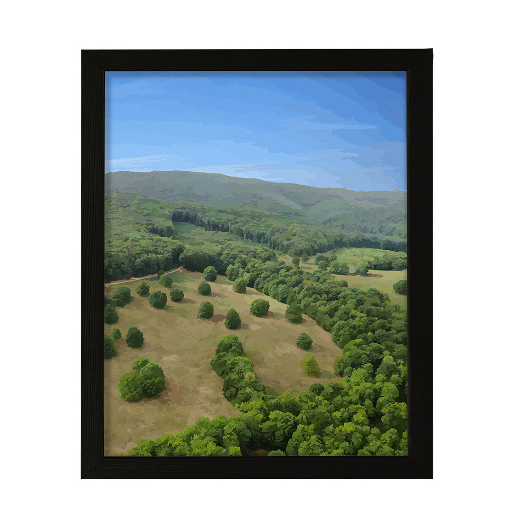 Aerial Forest Valley Scene, Framed Print Sign Easy Installation | Beautiful Trees | Stylish Modern Decoration For The Home and Office