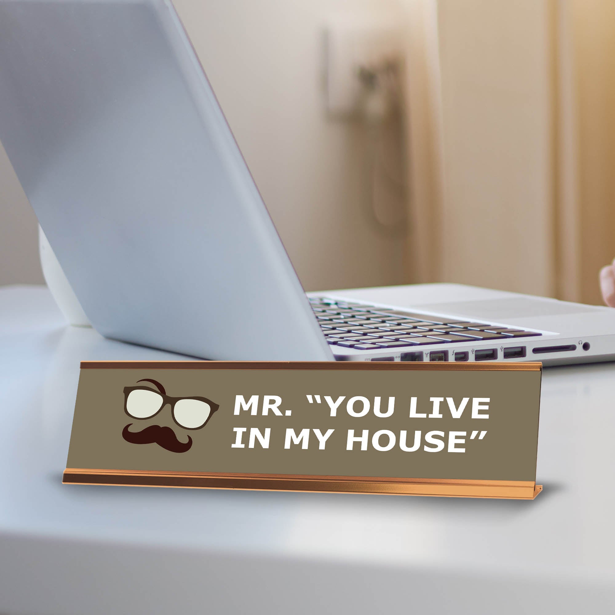 Signs ByLITA Mr. You Live In My House Gold Frame, Desk Sign (2x8")