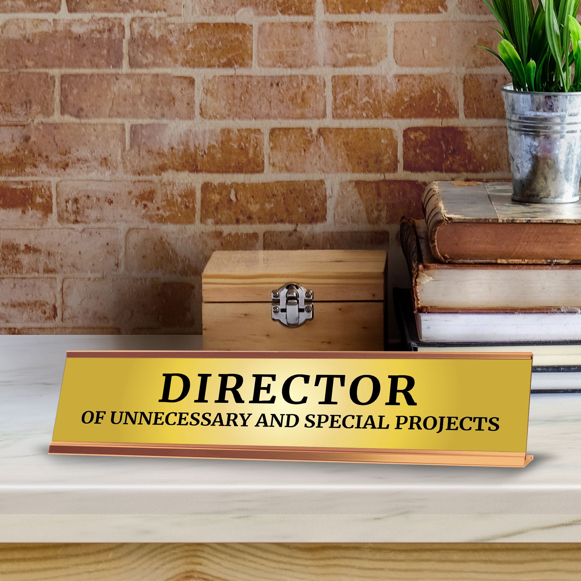 Director Of Unnecessary And Special Projects 2 x 10" Desk Sign | Funny Office & Home Decor
