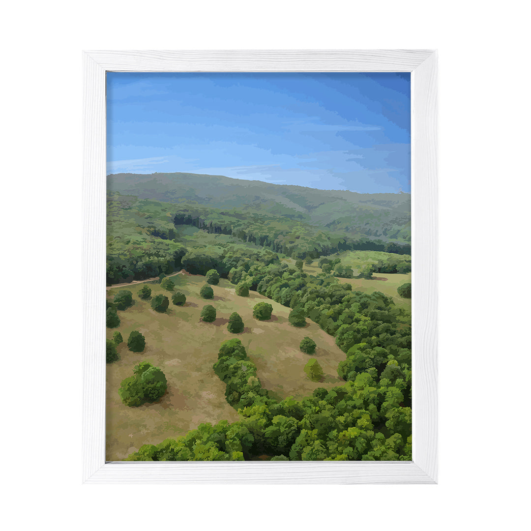 Aerial Forest Valley Scene, Framed Print Sign Easy Installation | Beautiful Trees | Stylish Modern Decoration For The Home and Office