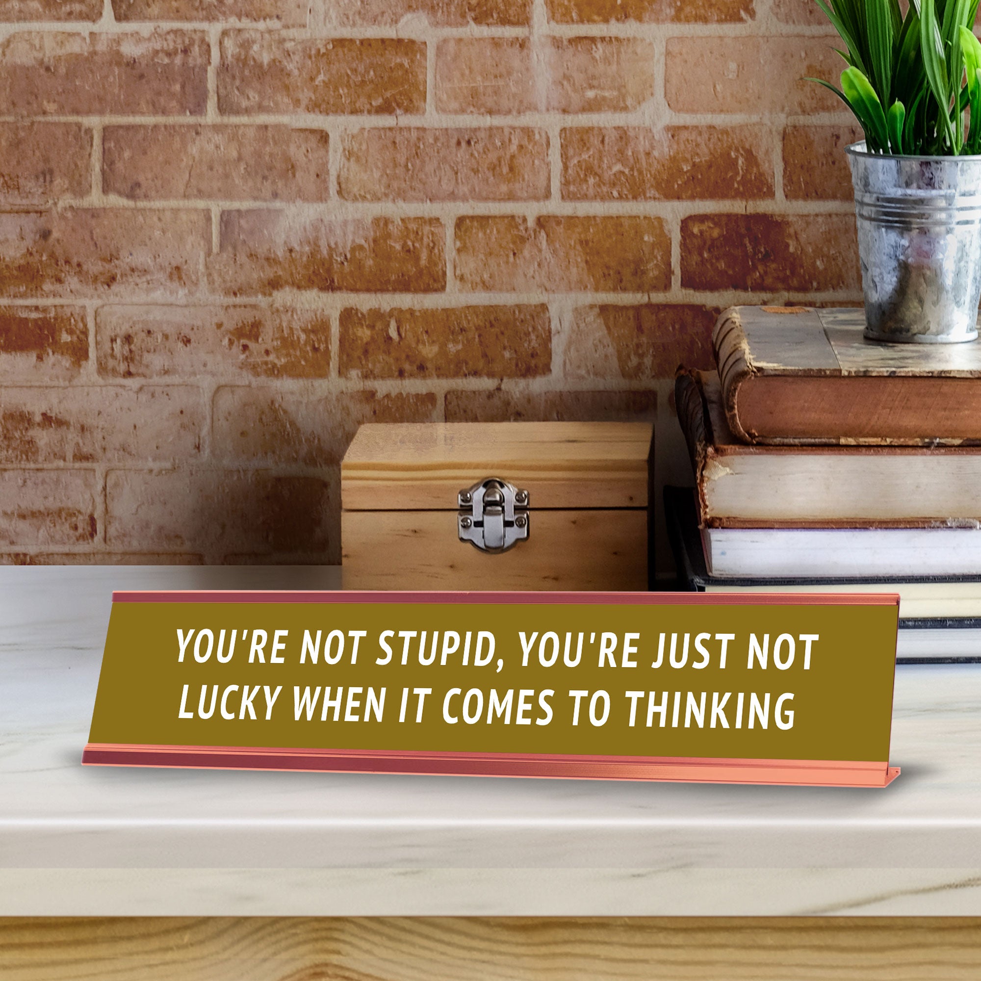 You're Not Stupid, You're Just Not Lucky When It Comes To Thinking Desk Sign (2x10") | Funny Office Decor