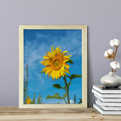 Designs ByLITA Midday Sunflower, Wall Print Art | Beautiful Flowers | Stylish Modern Decoration For The Home and Office