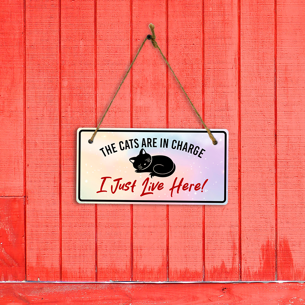 Cat Lovers Home Decor 5x10 Hanging Plus Wall or Door Sign