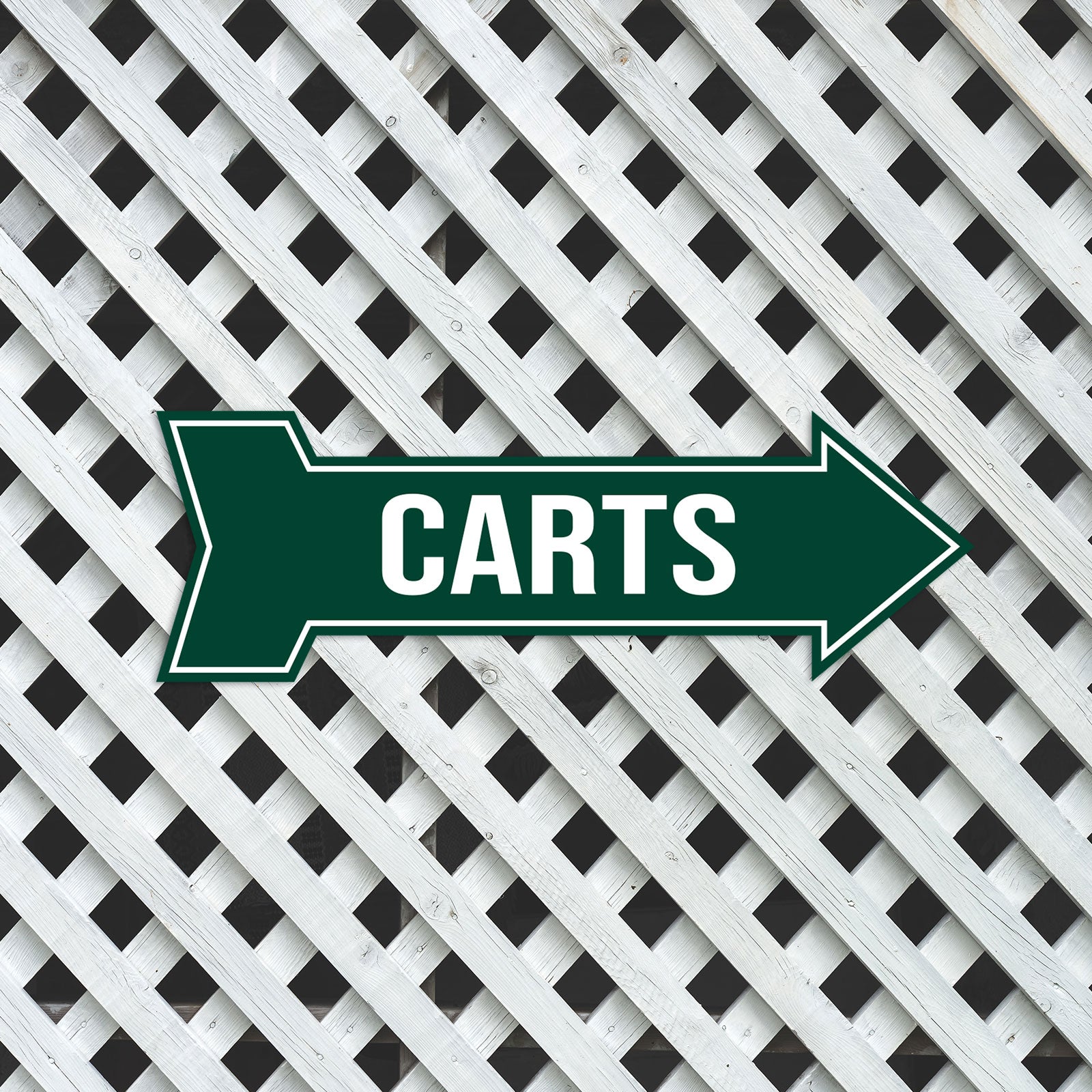 Arrow Shape Carts 12x4" Wall or Door Sign | Golf Signage