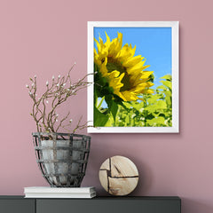 Designs ByLITA Chasing The Sun Floral, Wall Print Art | Beautiful Flowers | Stylish Modern Decoration For The Home and Office