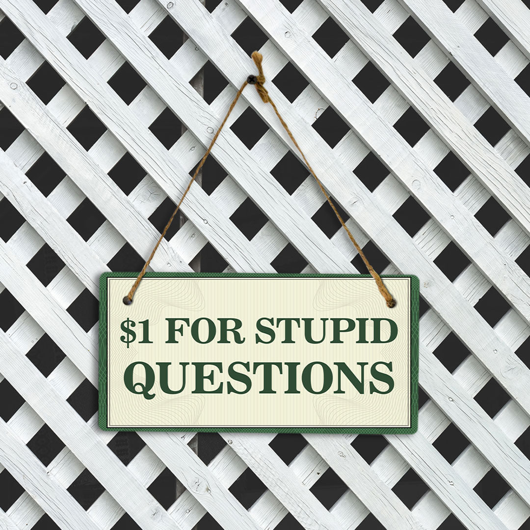 $1 For Stupid Questions 5x10 Hanging Plus Wall or Door Sign | Home & Office Decor