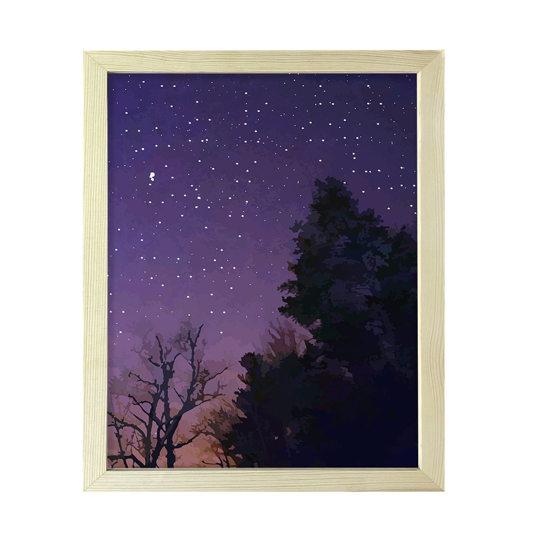 Designs ByLITA Night Time Wonders, Wall Print Art | Beautiful Flowers | Stylish Modern Decoration For The Home and Office