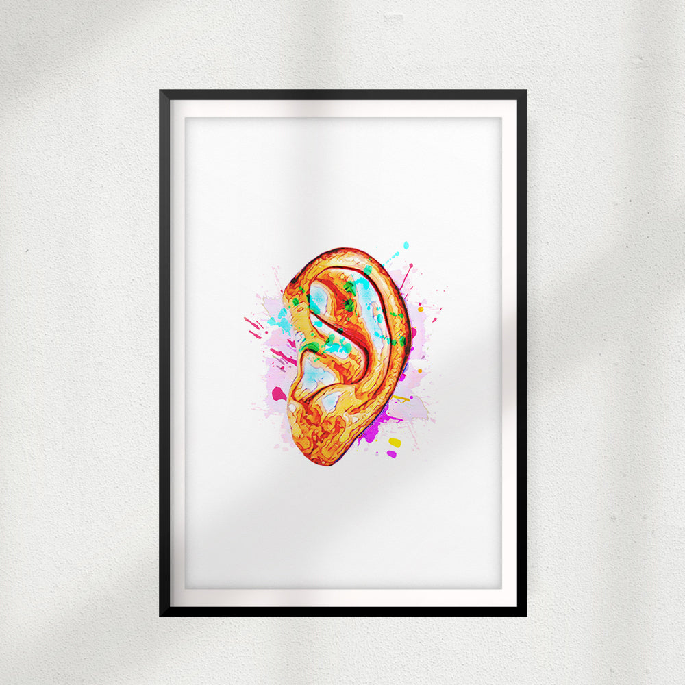 Hear In Color UNFRAMED Print Anatomy Wall Art