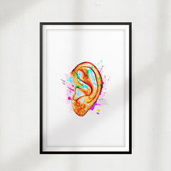 Hear In Color UNFRAMED Print Anatomy Wall Art