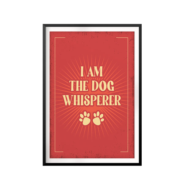 Pet Decor