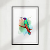 Abstract Kingfisher UNFRAMED Print Animal Wall Art