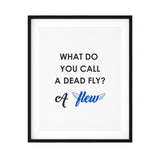 What Do You Call A Dead Fly? A Flew UNFRAMED Print Novelty Decor Wall Art