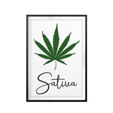 Sativa UNFRAMED Print Stoner Wall Art