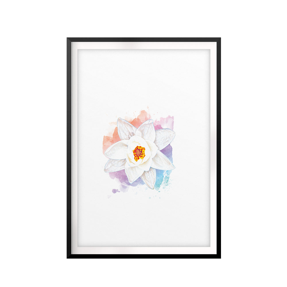 White Lotus Flower UNFRAMED Print Water Color Wall Art