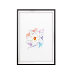 White Lotus Flower UNFRAMED Print Water Color Wall Art