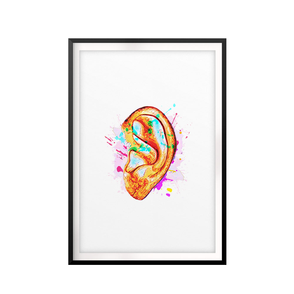 Hear In Color UNFRAMED Print Anatomy Wall Art